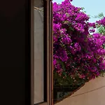Casa D'acquisto Appartement